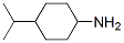 4-Isopropylcyclohexanamine Structure,52430-81-6Structure