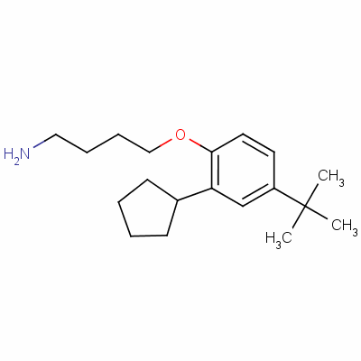 4-[4-(Tert-butyl)-2-cyclopentylphenoxy]butylamine Structure,52762-69-3Structure