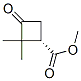 Cyclobutanecarboxylic acid,2,2-dimethyl-3-oxo-,methyl ester,(1s)-(9ci) Structure,527751-17-3Structure