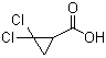 2,2-Dichloro-cyclopropanecarboxylic acid Structure,5365-14-0Structure