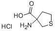 3-Amino-tetrahydro-thiophene-3-carboxylic acid hydrochloride Structure,53747-09-4Structure