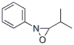 3-Isopropyl-2-phenyloxaziridine Structure,54188-01-1Structure