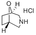 8-Oxa-3-azabicyclo[3.2.1]octane, hydrochloride Structure,54745-74-3Structure