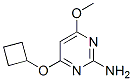 2-Pyrimidinamine,4-(cyclobutyloxy)-6-methoxy-(9ci) Structure,552880-94-1Structure