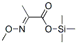 Propanoic acid,2-(methoxyimino)-,trimethylsilyl ester Structure,55493-92-0Structure