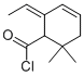 3-Cyclohexene-1-carbonyl chloride,2-ethylidene-6,6-dimethyl-(9ci) Structure,57935-27-0Structure