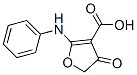 2-Anilino-4-oxo-4,5-dihydrofuran-3-carboxylic acid Structure,58337-23-8Structure