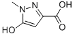 5-Hydroxy-1-methyl-1H-pyrazole-3-carboxylic acid Structure,58364-97-9Structure