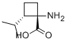 Cyclobutanecarboxylic acid,1-amino-2-(1-methylethyl)-,(1s,2s)-(9ci) Structure,587829-78-5Structure