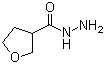 Tetrahydrofuran-3-carboxylic acid hydrazide Structure,59293-32-2Structure