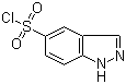 1H-indazole-5-sulfonyl chloride Structure,599183-35-4Structure