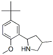 Pyrrolidine, 2-[5-(1,1-dimethylethyl)-2-methoxyphenyl]-4-methyl- (9ci) Structure,603068-96-8Structure