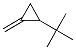 1-(1,1-Dimethylethyl)-2-methylenecyclopropane Structure,61142-25-4Structure