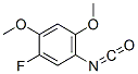 Benzene, 1-fluoro-5-isocyanato-2,4-dimethoxy-(9ci) Structure,625119-43-9Structure