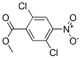 Methyl 2，5-dichloro-4-nitrobenzoate Structure,63105-61-3Structure