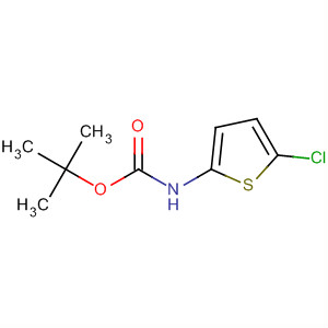 Tert-butyl (5-chloro-2-thienyl)carbamate Structure,63806-71-3Structure