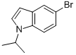 5-Bromo-1-isopropyl-1H-indole Structure,675827-10-8Structure