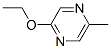 2-Ethoxy-5-methylpyrazine Structure,67845-34-5Structure