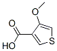 4-Methoxythiophene-3-carboxylic acid Structure,71050-40-3Structure