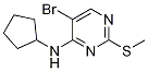 5-Bromo-n-cyclopentyl-2-(methylthio)-4-pyrimidinamine Structure,733039-23-1Structure