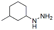 3-Methylcyclohexyl-hydrazine Structure,741249-15-0Structure