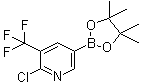 2-Chloro-5-(4,4,5,5-tetramethyl-1,3,2-dioxaborolan-2-yl)-3-(trifluoromethyl)pyridine Structure,741709-67-1Structure