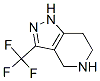 1H-Pyrazolo[4,3-c]pyridine, 4,5,6,7-tetrahydro-3-(trifluoromethyl)- Structure,743419-80-9Structure