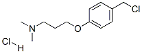 3-[4-(Chloromethyl)phenoxy]-N,N-dimethylpropylamine hydrochloride Structure,769123-68-4Structure