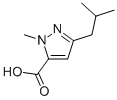 3-Isobutyl-1-methyl-1h-pyrazole-5-carboxylic acid Structure,769132-77-6Structure