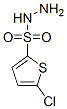 5-Chlorothiophene-2-sulfonohydrazide Structure,78380-28-6Structure