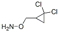 Hydroxylamine, o-[(2,2-dichlorocyclopropyl)methyl]-(9ci) Structure,784089-71-0Structure