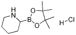 2-(4,4,5,5-Tetramethyl-1,3,2-dioxaborolan-2-yl)piperidinehydrochloride Structure,811439-31-3Structure