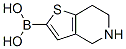 4,5,6,7-Tetrahydrothieno[3,2-c]pyridin-2-yl boronic acid Structure,83611-96-5Structure