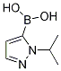 1-Isopropylpyrazole-5-boronic acid Structure,839714-33-9Structure