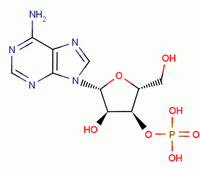 Adenosine 3-phosphate Structure,84-21-9Structure