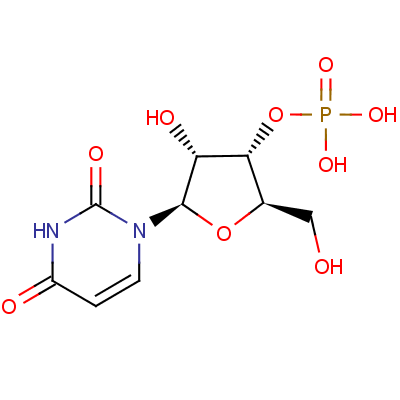 Uridylic acid Structure,84-53-7Structure