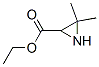 Ethyl3,3-dimethylaziridine-2-carboxylate Structure,84024-59-9Structure