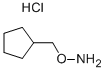 O-(cyclopentylmethyl)hydroxylamine hydrochloride Structure,854382-69-7Structure