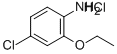 4-Chloro-2-ethoxyaniline, HCl Structure,858855-49-9Structure