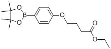 Ethyl 4-[4-(4,4,5,5-tetramethyl-1,3,2-dioxaborolan-2-yl)phenoxy]butanoate Structure,859169-90-7Structure