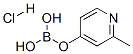 2-Picoline-4-boronic acid hcl Structure,861905-97-7Structure