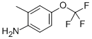 2-Methyl-4-(trifluoromethoxy)aniline Structure,86256-59-9Structure