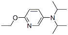 2-Ethoxy-5-(n,n-diisopropyl)aminopyridine Structure,871269-05-5Structure