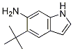 5-Tert-butyl-1h-indol-6-ylamine Structure,873055-31-3Structure