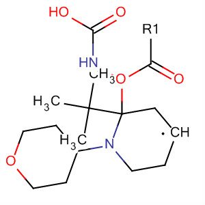 Tert-butyl 1-(tetrahydro-2h-pyran-4-yl)piperidin-4-ylcarbamate Structure,873537-63-4Structure