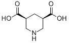 Cis-3,5-piperidinedicarboxylic acid Structure,876367-84-9Structure