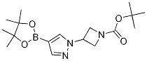 Tert-butyl 3-(4-(4,4,5,5-tetramethyl-1,3,2-dioxaborolan-2-yl)-1h-pyrazol-1-yl)azetidine-1-carboxylate Structure,877399-35-4Structure