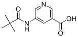 5-(2,2-Dimethyl-propionylamino)-nicotinic acid Structure,879326-77-9Structure