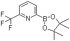 6-(Trifluoromethyl)pyridine-2-boronic acid pinacol ester Structure,881402-16-0Structure