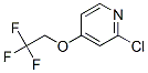 2-Chloro-4-(2,2,2-trifluoro-ethoxy)-pyridine Structure,885277-01-0Structure